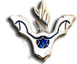 Israel IDF Air Force Badge