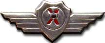 Israel IDF Air Force Badge