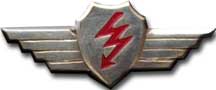 Israel IDF Air Force Badge