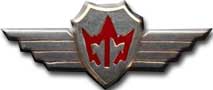 Israel IDF Air Force Badge
