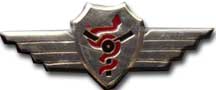 Israel IDF Air Force Badge