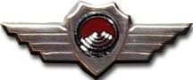 Israel IDF Air Force Badge