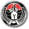 Israel IDF Air Force Badge