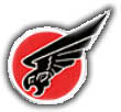Israel IDF Air Force Badge