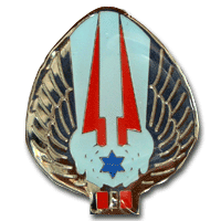 Israel IDF Air Force Badge
