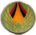 Israel IDF Air Force Badge