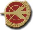 Israel IDF Air Force Badge