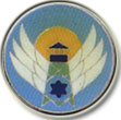 Israel IDF Air Force Badge