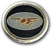 Israel IDF Air Force Badge