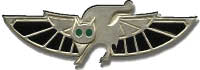 Israel IDF Air Force Badge