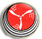 Israel IDF Air Force Badge