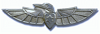 Israel IDF Air Force Badge