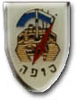 IDF Armored Corps Badge