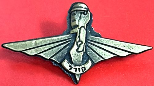 Israel Border Guard Badge