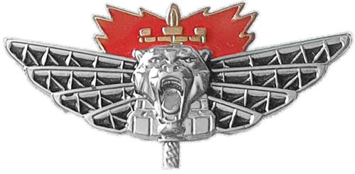 Israel IDF Combat Engineering Badge