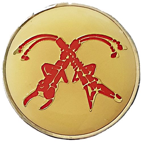 Israel Fire and Rescue Service badge