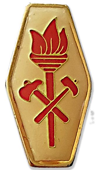 Israel Fire and Rescue Service badge