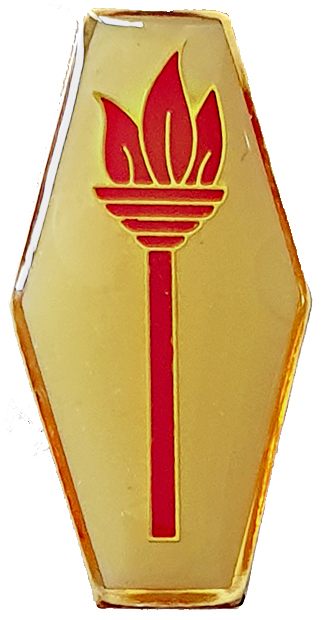 Israel Fire and Rescue Service badge