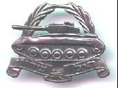 IDF cap badge