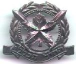 IDF cap badge