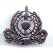 IDF cap badge