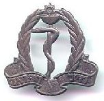 IDF cap badge