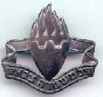 IDF cap badge