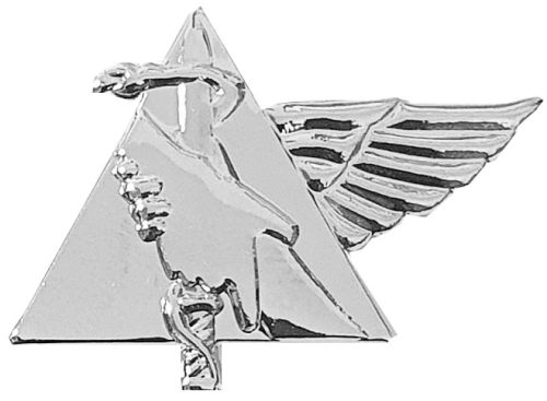 Israel IDF Home Front Badge