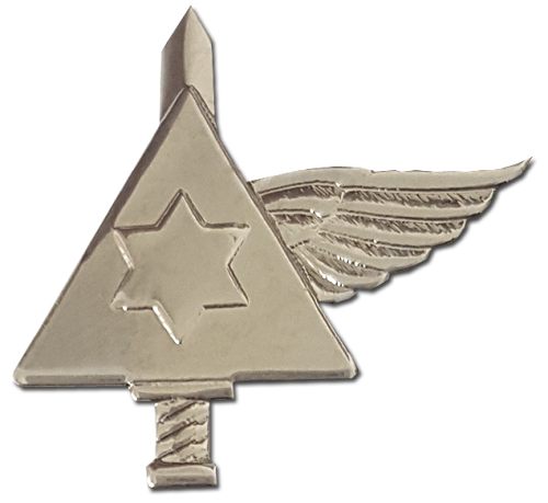 Israel IDF Home Front Badge