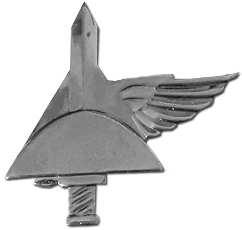 Israel IDF Home Front Badge