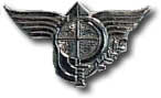 Israel IDF Infantry Badge