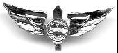 Israel IDF Infantry Badge