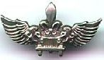 Israel IDF Infantry Badge