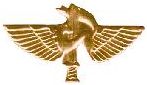 Israel IDF Infantry Badge