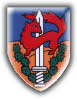 Israel IDF Infantry Badge