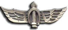 Israel IDF Infantry Badge