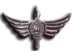 Israel IDF Infantry Badge