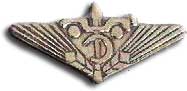 Israel IDF Infantry Badge
