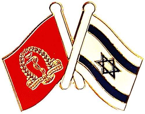 IDF Medical Corps Badge