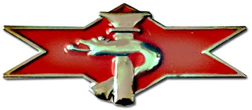 IDF Medical Corps Badge
