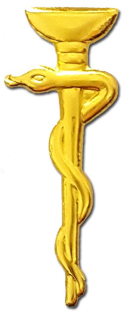 IDF Medical Corps Badge