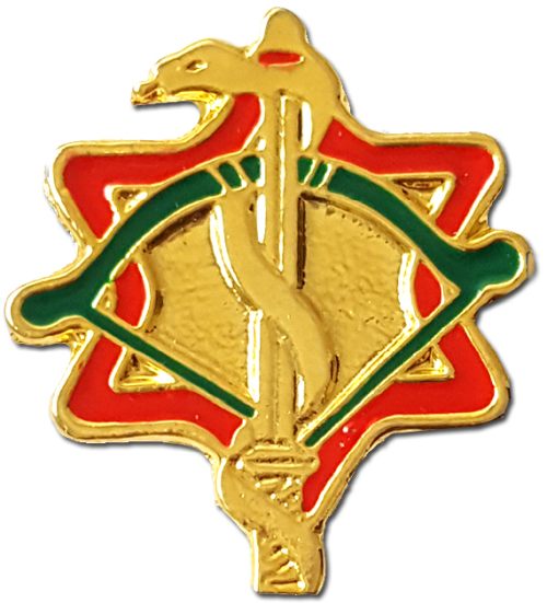 IDF Medical Corps Badge