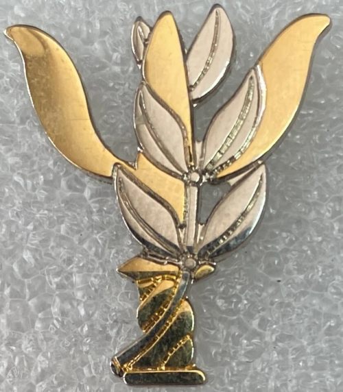 IDF Medical Corps Badge