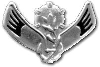 Israel IDF Navy Badge