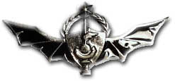 Israel IDF Navy Badge