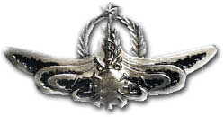 Israel IDF Navy Badge