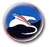 Israel IDF Navy Badge
