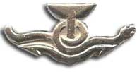 Israel IDF Navy Badge