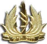 IDF cap badge