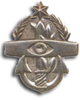 Israel IDF Navy Badge